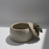 Ceramic planter with lid featuring a succulent on a white background