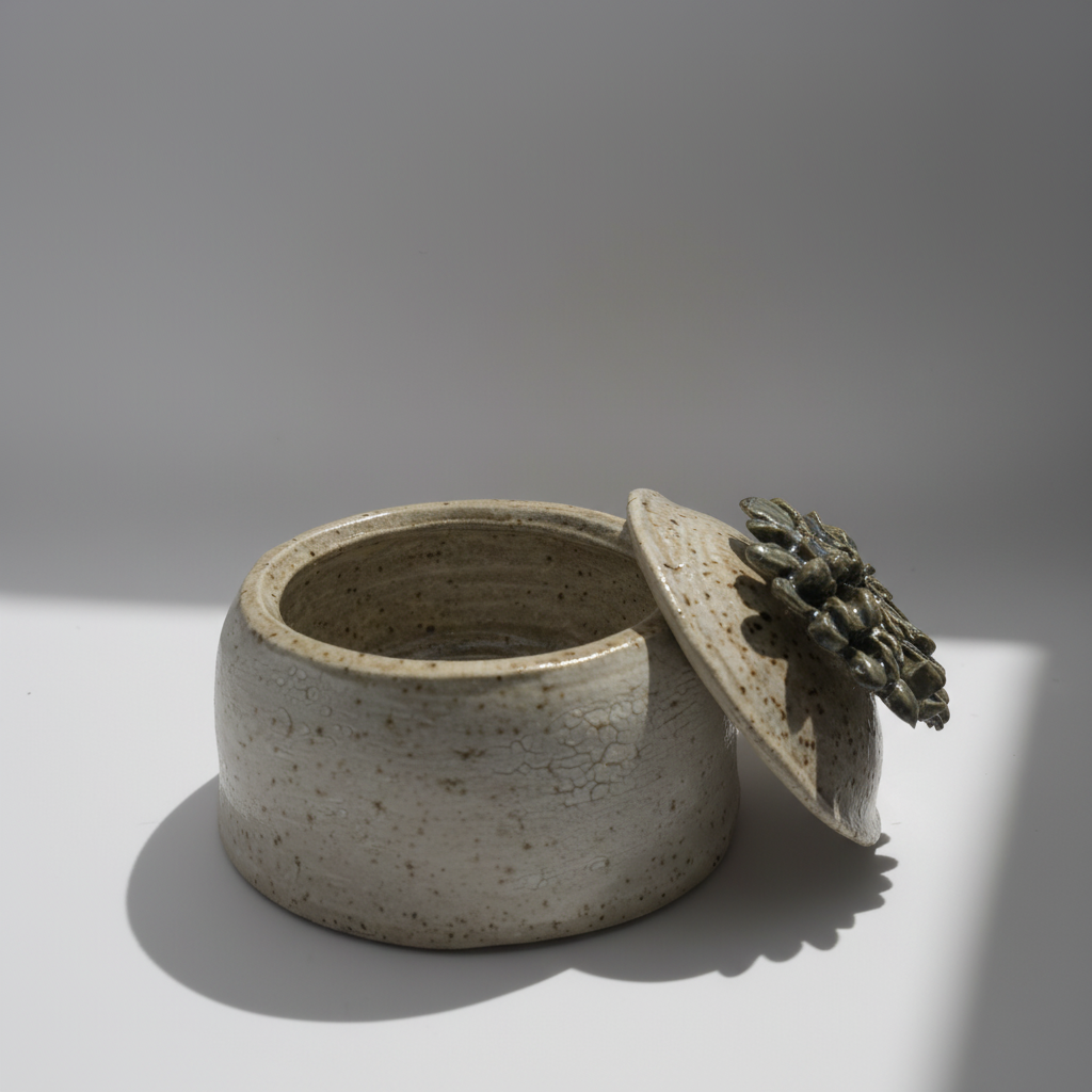 Ceramic planter with lid featuring a succulent on a white background
