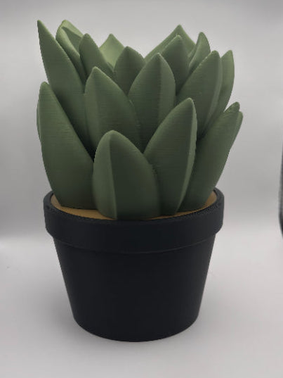 Succulent Soap Holder - 8.75 oz BBWorks Foam Hand Soap